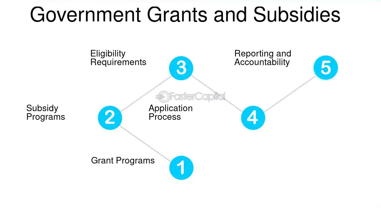 Grant & Subsidy Application