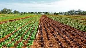 Land Allocation for Farming